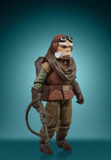 Figura Hasbro Star Wars: The Mandalorian - Kuiil de 9.5 cm (#F2022) - Año 2021