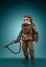 Figura Hasbro Star Wars: The Mandalorian - Kuiil de 9.5 cm (#F2022) - Año 2021