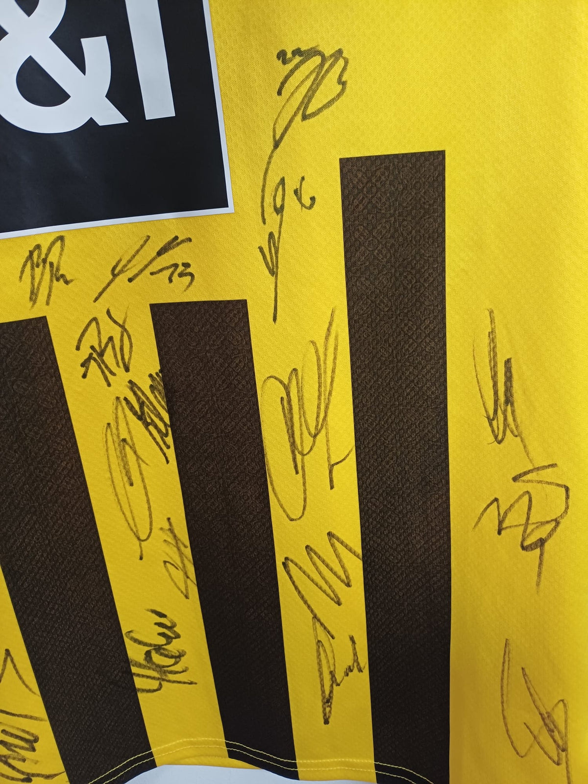 Camiseta Puma Borussia Dortmund 2022/2023 Firmada por la Plantilla (Bellingham, Reus, Brandt, Haller) - Amarilla - Talla L
