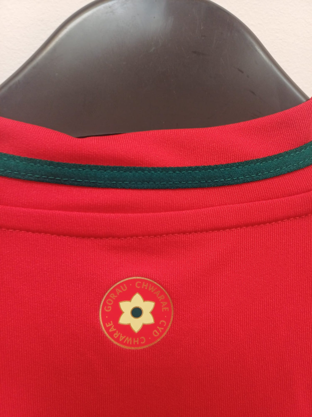 Camiseta Oficial Adidas Selección de Gales Primera Equipación Hombre - Talla M (Año 2024)