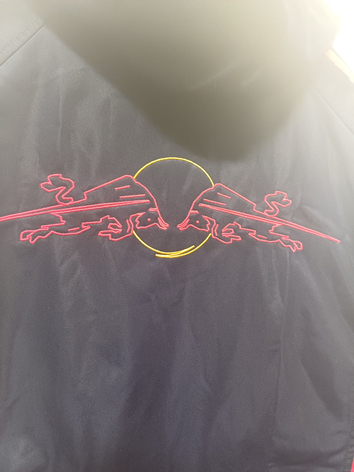 Adidas FC Red Bull Salzburg Chaqueta con Capucha Oficial Talla XL (Azul Marino / Rojo)